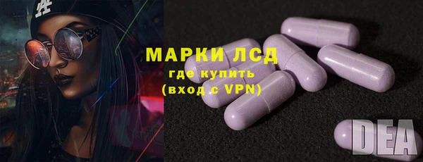 прущие грибы Аркадак