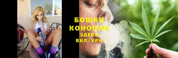 прущие грибы Аркадак