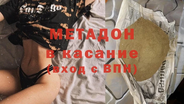 прущие грибы Аркадак