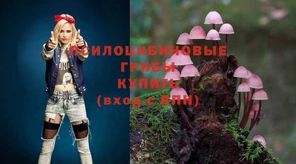 альфа пвп Зеленодольск