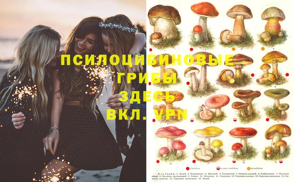 MDMA Premium VHQ Алексеевка