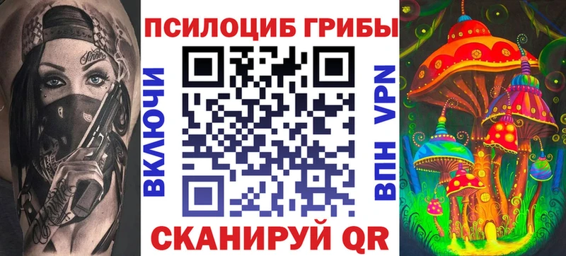 Галлюциногенные грибы GOLDEN TEACHER  наркотики  Новодвинск 
