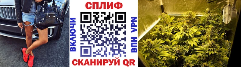Бошки Шишки сатива Новодвинск